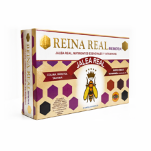 Reina Real Memoria